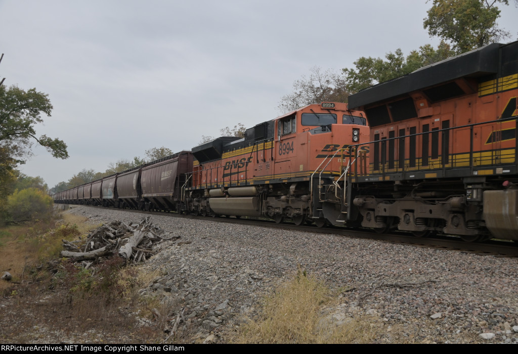 BNSF 8994